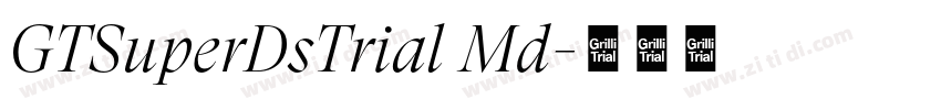 GTSuperDsTrial Md字体转换